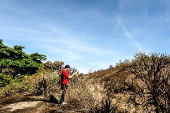 Fotógrafos fazem trilha no Parque Von Schilgen