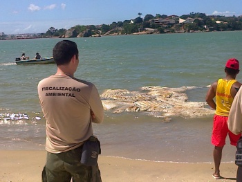 Baleia Curva da Jurema