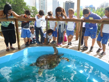 Alunos visitam Projeto Tamar