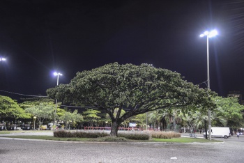 Iluminação na Praça dos Desejos