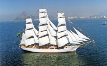 Cisne branco
