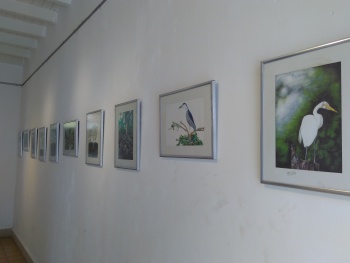 Exposição 