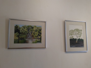 Exposição 