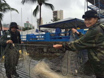 Operação Semmam e Ibama