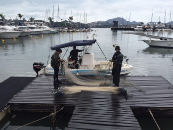 Operação Semmam e Ibama