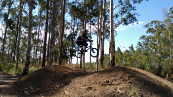 Wellington bicicross