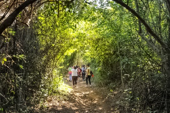 Parque Municipal da Fonte Grande