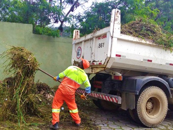 Gari colocando restos de vegetação em caçamba de caminhão