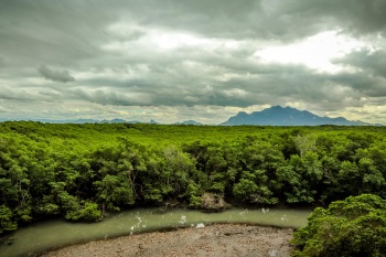 Estação Ecológica do Lameirão