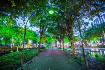Iluminação de Natal no Parque Moscoso