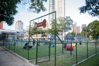 Espaço destinado para cães na nova praça do cauê