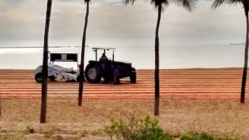 limpeza da praia de Camburi na manhã do dia 1 de dezembro