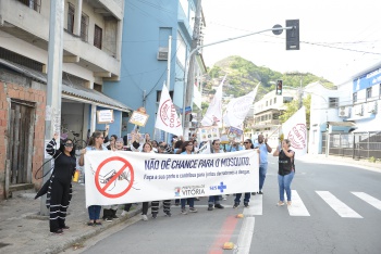 Ação Combate a Dengue
