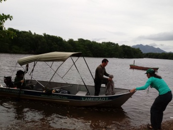 Apreensão de caranguejo na andada do caranguejo