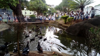 Dia da Água na Emef Suzete Cuendet