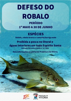 Defeso do robalo