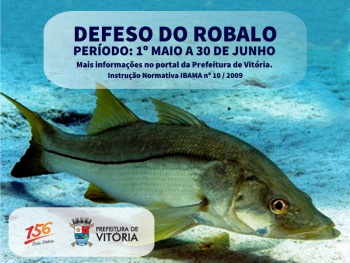 Defeso do robalo