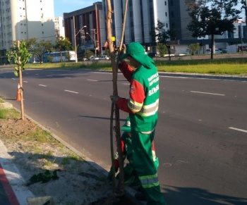 Plantio na Adalberto Simão Nader