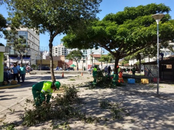 Poda de árvores em Jardim Camburi