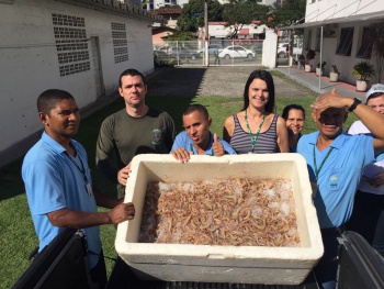 Apreensão de pescado