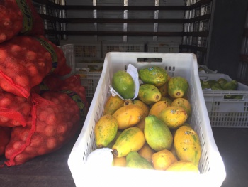 Banco de Alimentos recebe doações de frutas do programa Mesa Brasil