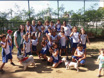 Alunos de Emef de Jardim Camburi concluem projetos de Educação ...