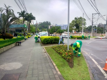 Poda de grama e paisagismo