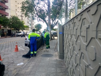 Equipes plantam mudas de árvores na Mata da Praia