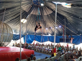 Dia do Circo