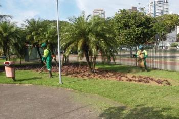 Paisagismo na Praça da Ciência (1/4)
