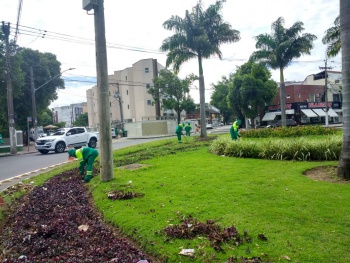 Paisagismo em JArdim da Penha