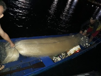 Fiscalização da Semmam apreende redes de pesca