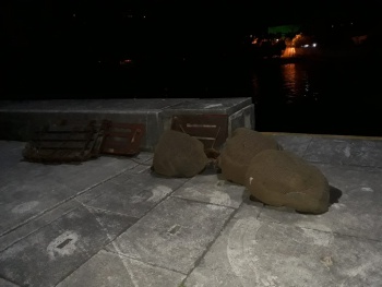 Fiscalização da Semmam apreende redes de pesca