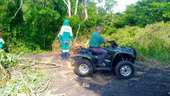 Semmam realiza combate a espécies exóticas no Parque da Fonte Grande