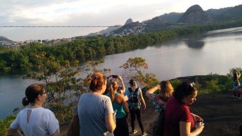 Dia do Manguezal