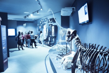 Museu das ciências da vida