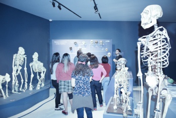 Museu das ciências da vida