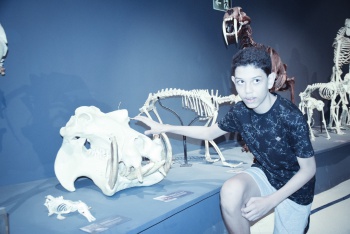 Museu das ciências da vida