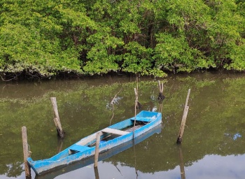 Caminhada ecológica do Cmei Jacyntha no Dia do Manguezal