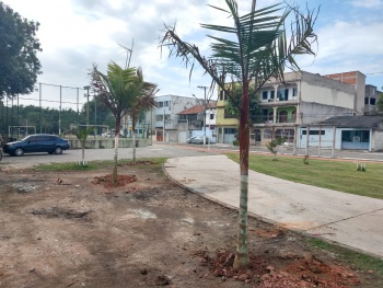 Plantio de árvores em Maria Ortiz