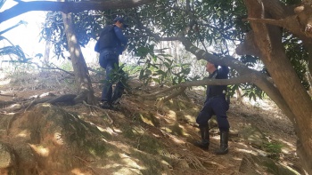 Agentes fazem buscas a suspeitos Bicicletas de aplicativo Yellow apreendidas pela Guarda em Jesus de Nazareth