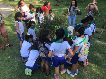 Alunos fazem plantio de árvores