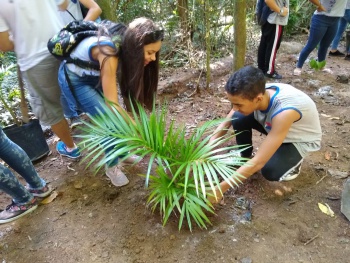 Alunos fazem plantio de mudas de Mata Atlântica