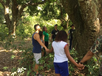 Estudantes fazem plantio de árvores no parque vale do mulembá