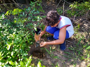 Estudantes fazem plantio de árvores no parque vale do mulembá
