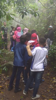 Nevoeiro no Parque da Fonte Grande