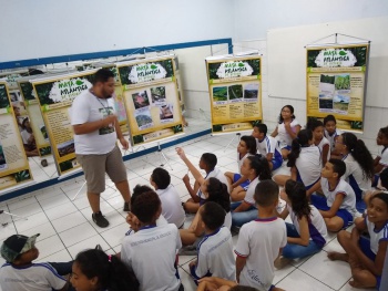 Exposição de Mata Atlântica