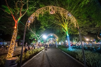 Iluminação de Natal 2019 - Parque Moscoso