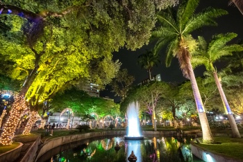 Iluminação de Natal 2019 - Parque Moscoso