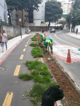 Trabalho de paisagismo na Rua da Grécia